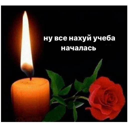 Стикер FricIGitler - 1