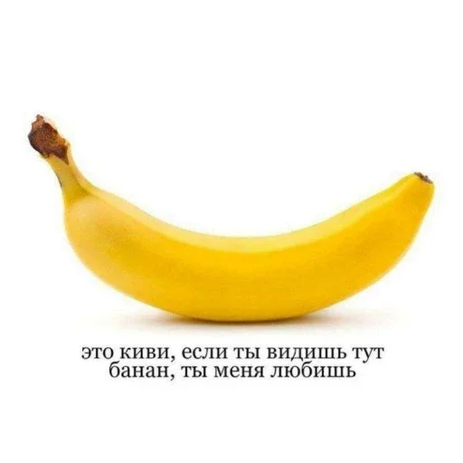 Стикер FricIGitler - 1