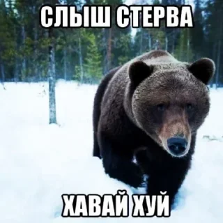 Sticker Серака ебал - 2