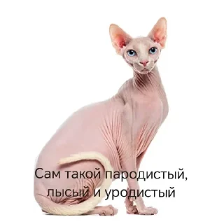 Sticker @stiki_tg_nah_canal - 10