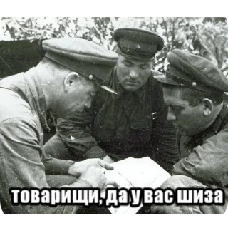 Sticker Дурка @wagdire - 10