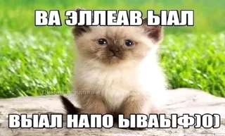 Sticker @stiki_tg_nah_canal - 3