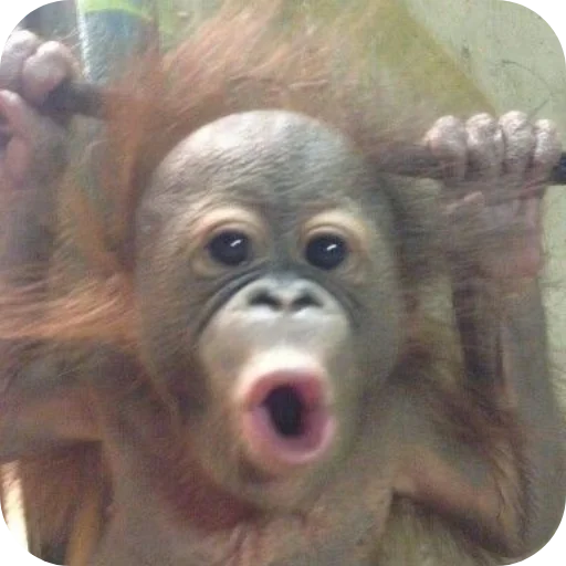 Sticker Glockkk8 - 1