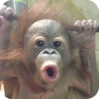 Стикер Glockkk - 2