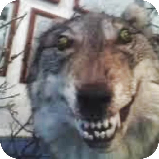 Гогоошоогооо - 