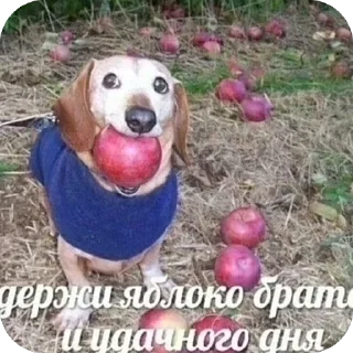 Sticker Гогоошоогооо - 0