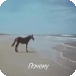 Sticker Гогоошоогооо - 2