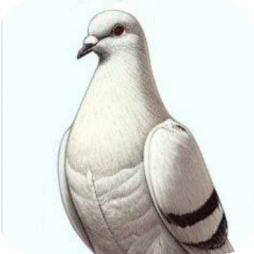 Sticker GolubinyjDomik - 1