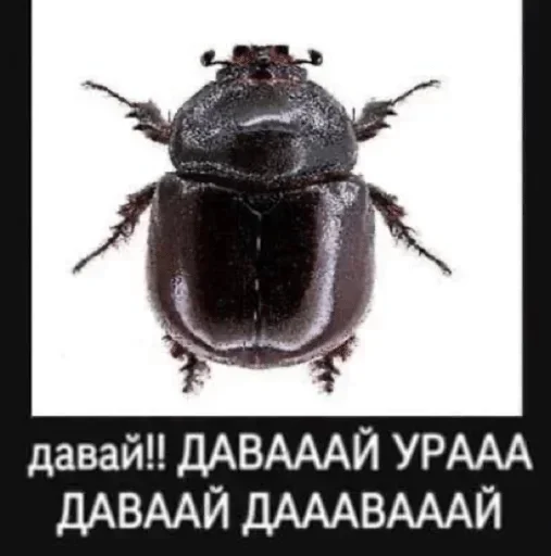 Стикер GonzieCURSED - 1