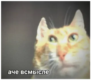 Sticker Gonzie CURSED👹 - 11