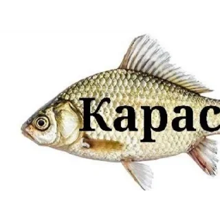 Sticker Горощик топ - 10