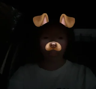 Sticker Зеленый чай, мы лучшие да - 8