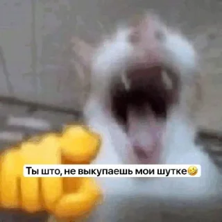 Sticker Зеленый чай, мы лучшие да - 7