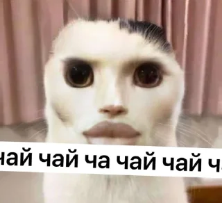 Sticker Зеленый чай, мы лучшие да - 10