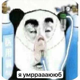 Sticker Зеленый чай, мы лучшие да - 2