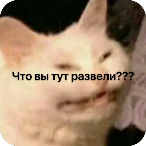 Sticker GrinchVishnya_by_TgEmodziBot - 1