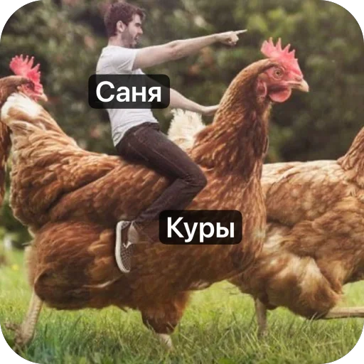 Sticker GrinchVishnya_by_TgEmodziBot - 1