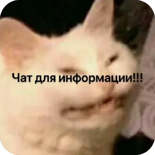 Sticker Гринч для Радарара @TgEmodziBot - 3