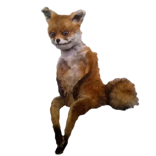 Sticker Гринч для Радарара @TgEmodziBot - 0