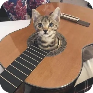 Стикер Guitar @StickersDVM - 6