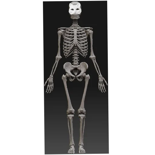 Стикер Haha_Zhenya_2 - 1