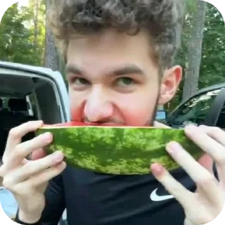 Sticker Хазяева - 7