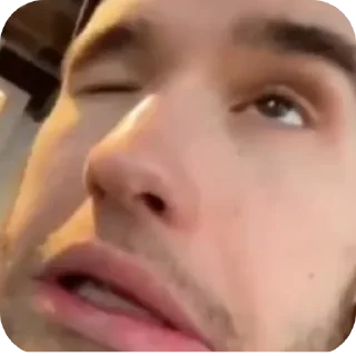 Sticker Хазяева - 5