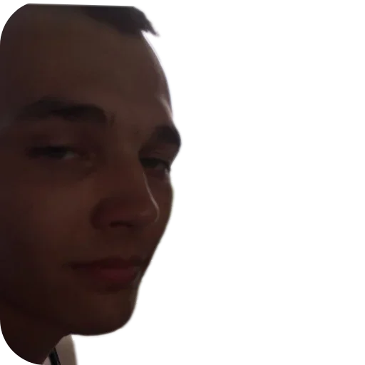 Sticker Hestonic - 1