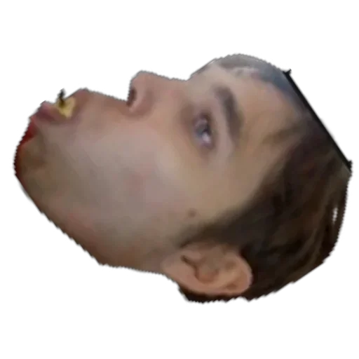 Sticker Hestonic - 1