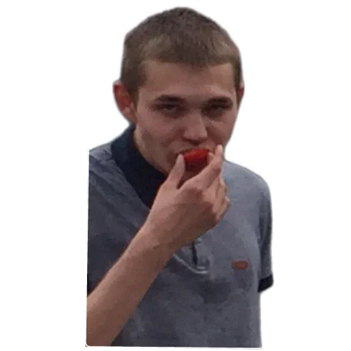 Sticker Hestonic - 1