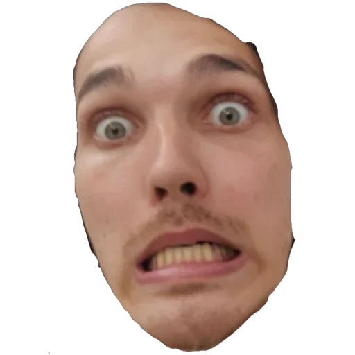 Sticker Hestonic - 1