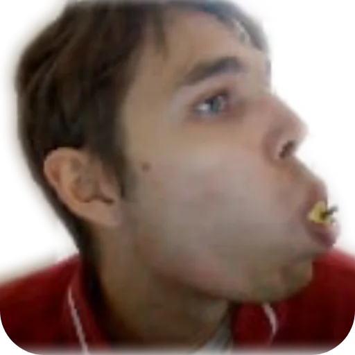 Sticker Hestonic - 1