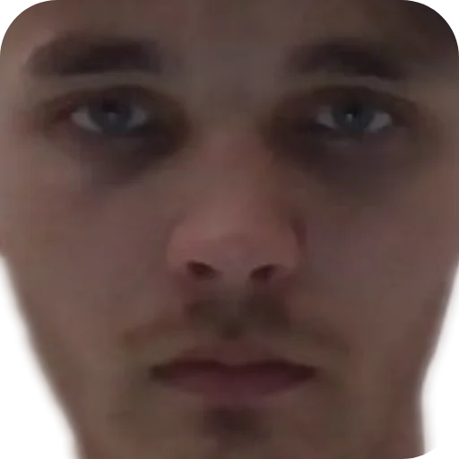 Sticker Hestonic - 1