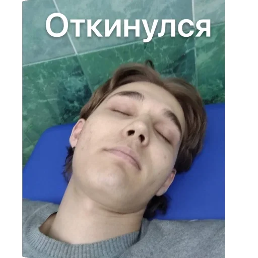 Sticker Hestonic - 1