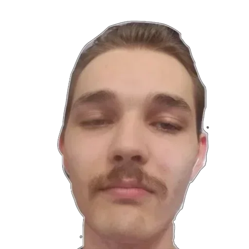 Sticker Hestonic - 1