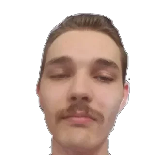 Sticker Hestonic - 0