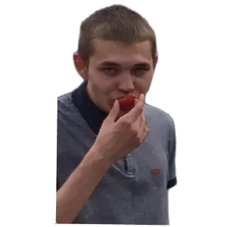 Sticker Hestonic - 11