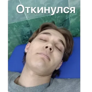 Sticker Hestonic - 2