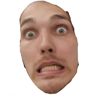 Sticker Hestonic - 10