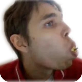 Sticker Hestonic - 6