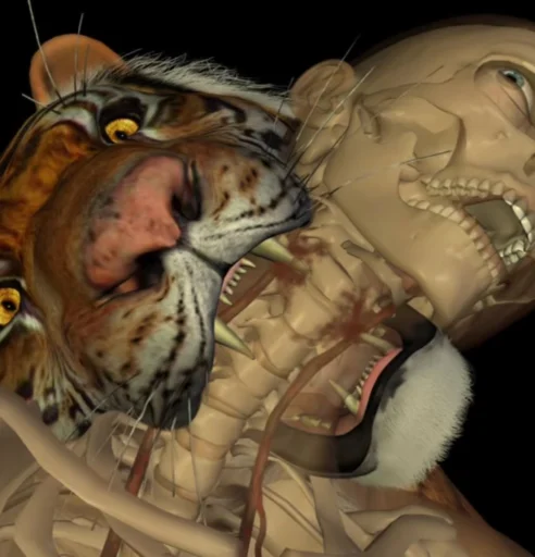 🧄hlorchez @hlorstik - 