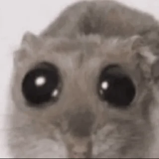 Стикер 🥺 - 1