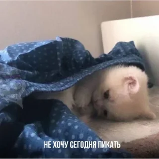 Стикер Hueta part II - 2