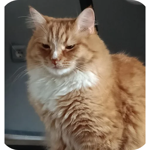 Стикер HujZnaetNoYa - 1