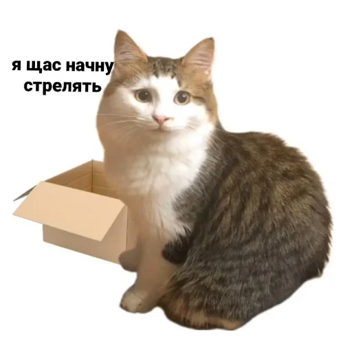 Стикер HujnyaOtNarkomana2 - 1