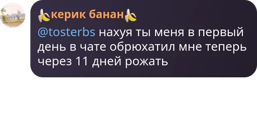 Sticker HujnyaOtTosterBoSinnchik - 1