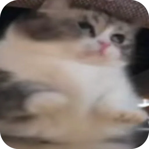 Хуйня кака-ято - 