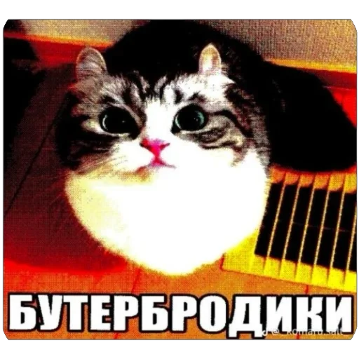 Sticker Hujnya_kaka_yato - 1