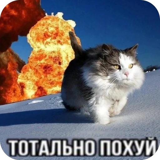 Sticker Hujnya_kaka_yato - 1