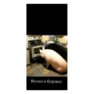 Стикер Стикер 1 - 10